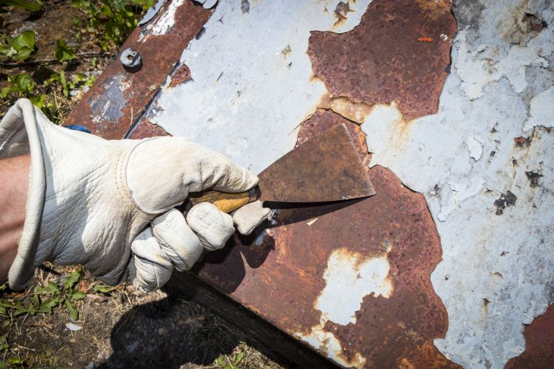 Lead Paint Abatement Service