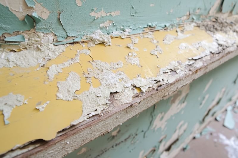 Lead Paint Abatement Service