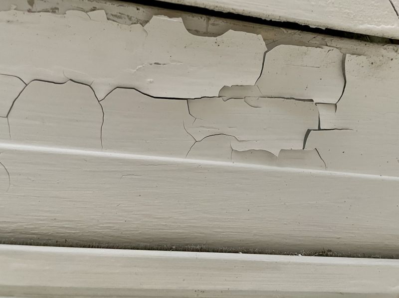 Lead Paint Abatement Service